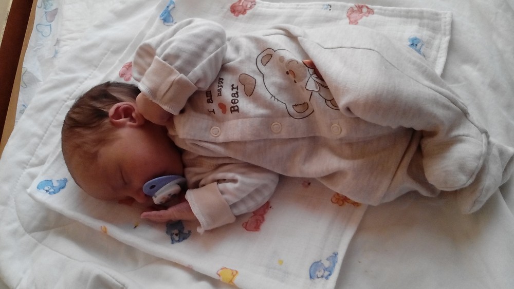 Můj nejsilnější zážitek roku:
Zrození nového života
