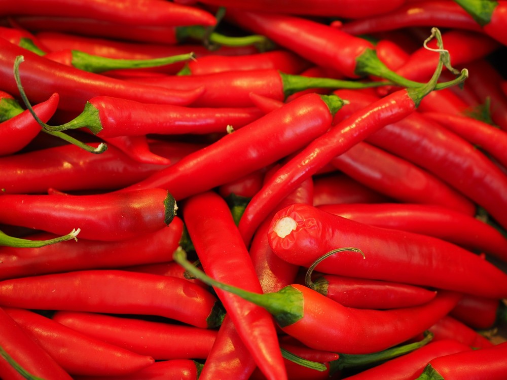 Chilli papričky tlumí
chronické bolesti