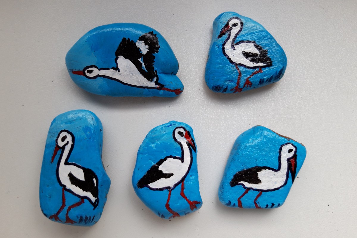 capim.jpg