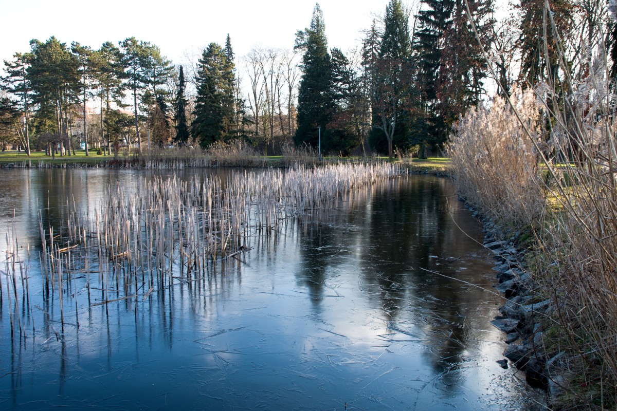 dsc-0023m.jpg