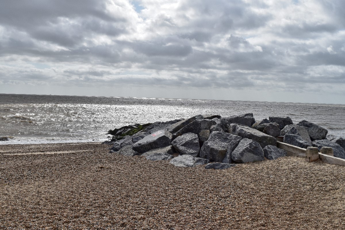dsc-0510-4.jpg