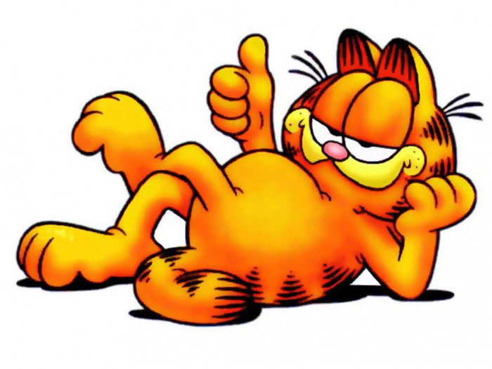 Drzý, tlustý a neustále
hladový kocour Garfield