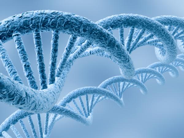 Odpadní DNA nejspíš skrývá
nový klíč k mnoha chorobám