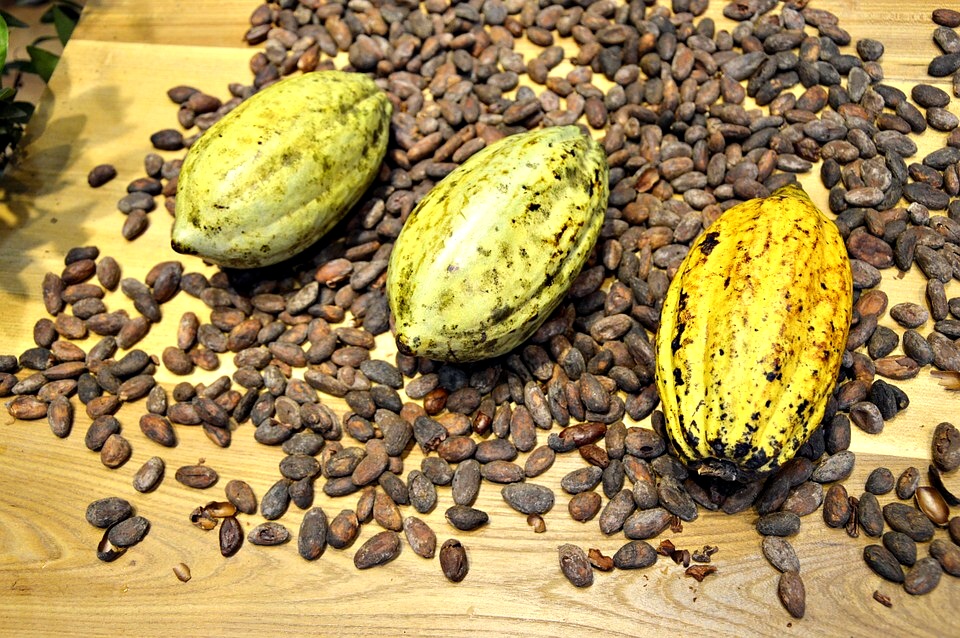 Příběh čokolády (jesenické)