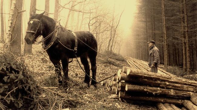 Mrkání(2. část):
Muzikanti, to sú chlapci