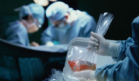 V Česku roste počet
zemřelých dárců organů
 