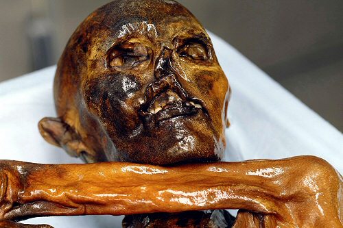 Mumie Ötzi vydala
nejstarší krev na světě