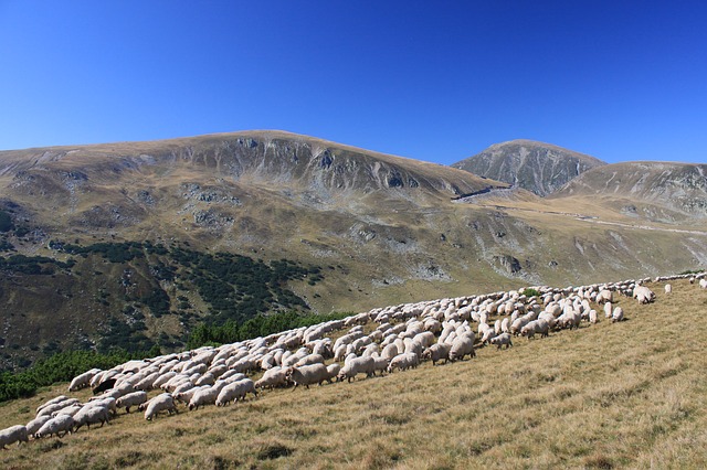 Cestou necestou přes 
rumunský Fagaraš, III. díl