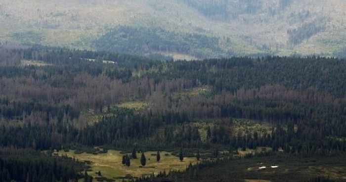 Šumavský národní park se více
otevře handicapovaným lidem