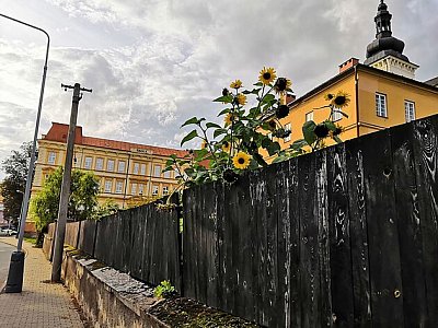 Moravská Třebová