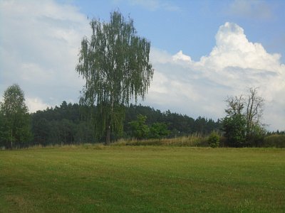 006-57.jpg