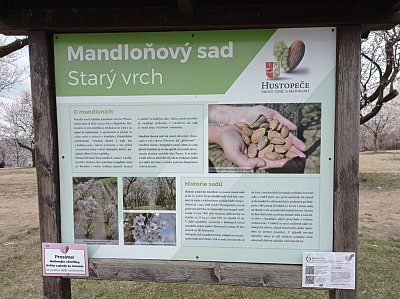 01-350.jpg