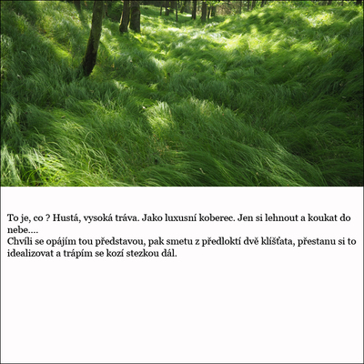 016-7.jpg