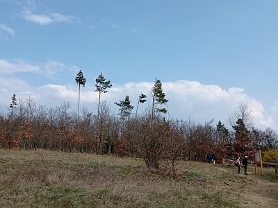 02-249.jpg