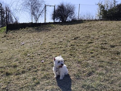 02-306.jpg