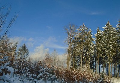 026-17.jpg