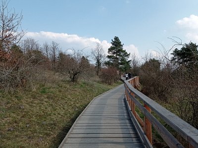 03-284.jpg