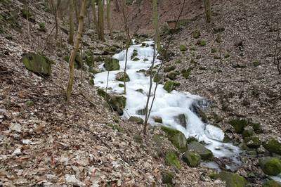 04-ledujeme.jpg