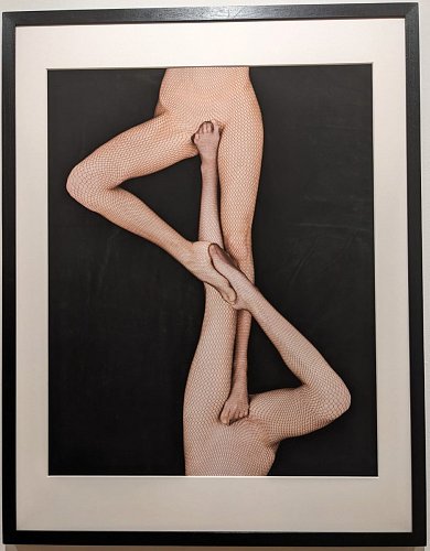 04-tango-2019-.jpg