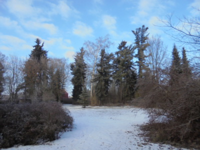 park