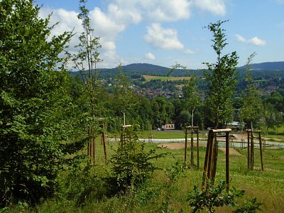 050-18.jpg