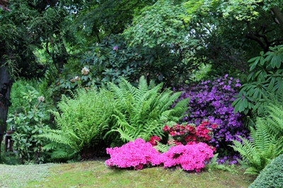 Z botanické zahrady