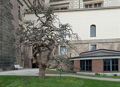 06-237.jpg