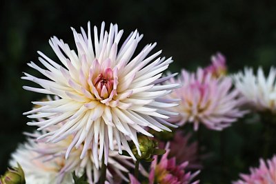 07