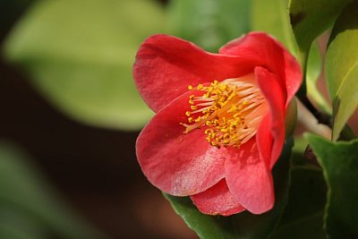 07