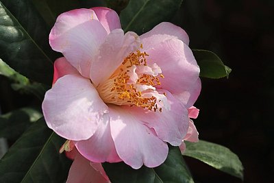 09