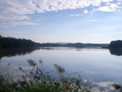 Žabakor