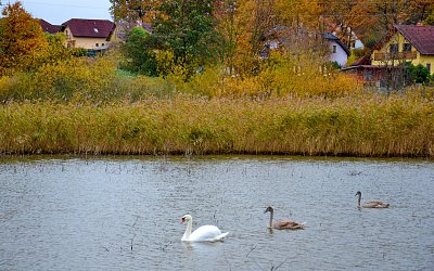 Podzimní plavba
