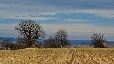 Příprava na jaro