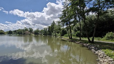 V červenci u rybníka