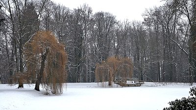 V parku