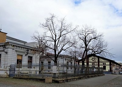 10-dsc05490.jpg