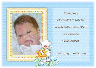 10.-vasik.jpg