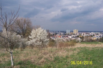 Město v květu
