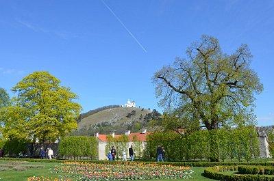 11-400.jpg