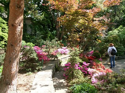 115-0454.jpg