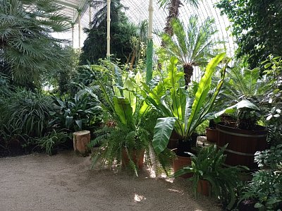 12-461.jpg
