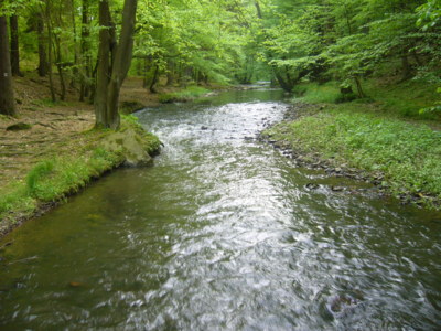 Zbirožský potok