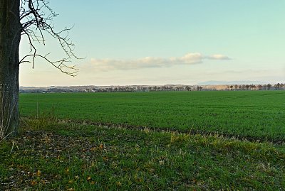 12-p1040721.jpg