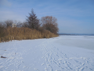 Zamrzlo