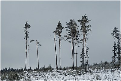 14-211.jpg
