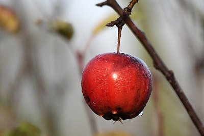 14-415.jpg