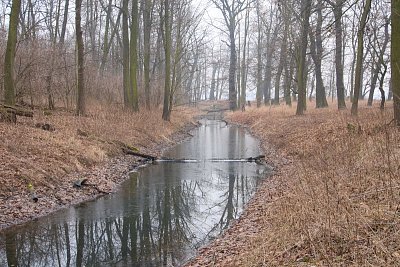 14-94.jpg