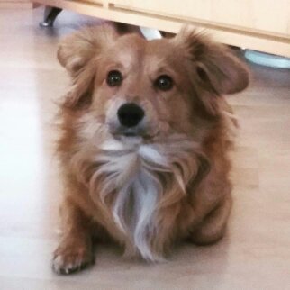 Můj Teddy