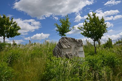15-340.jpg