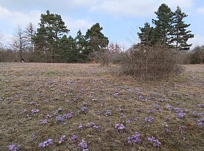 15-415.jpg